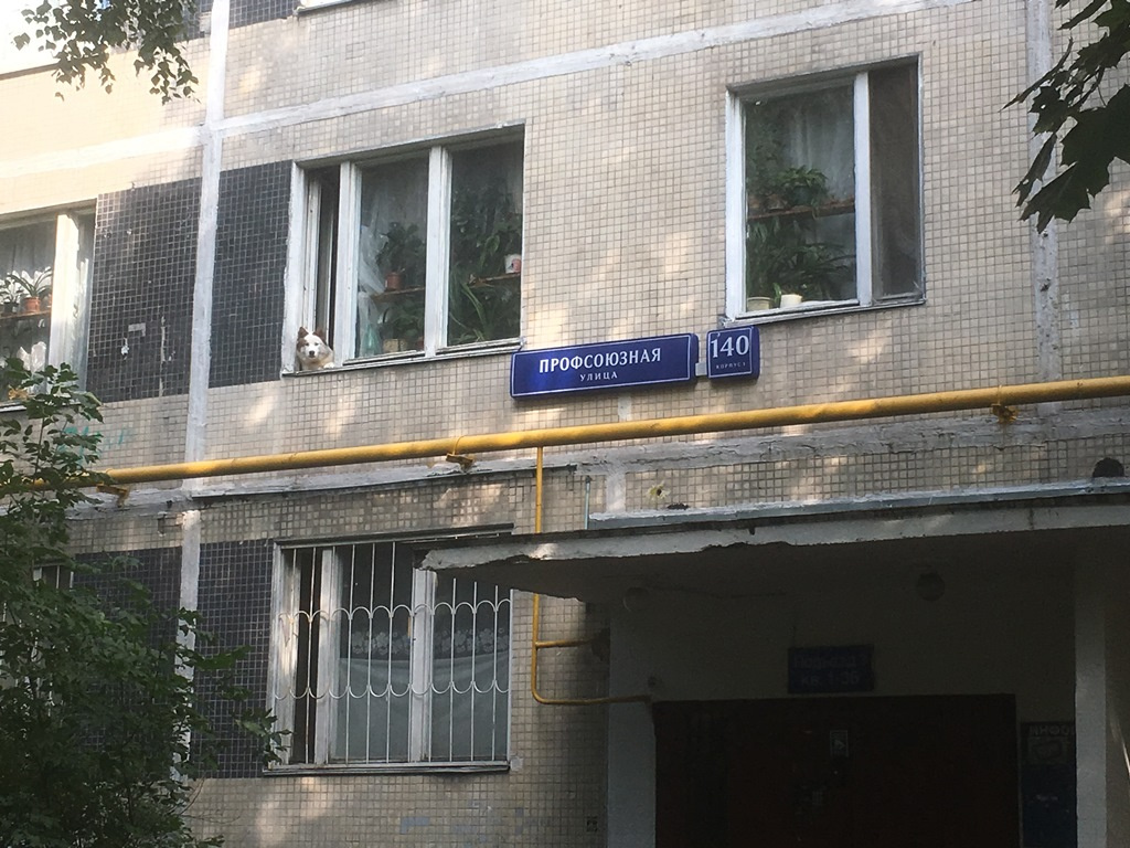 1-комнатная квартира, 33 м² - фото 5