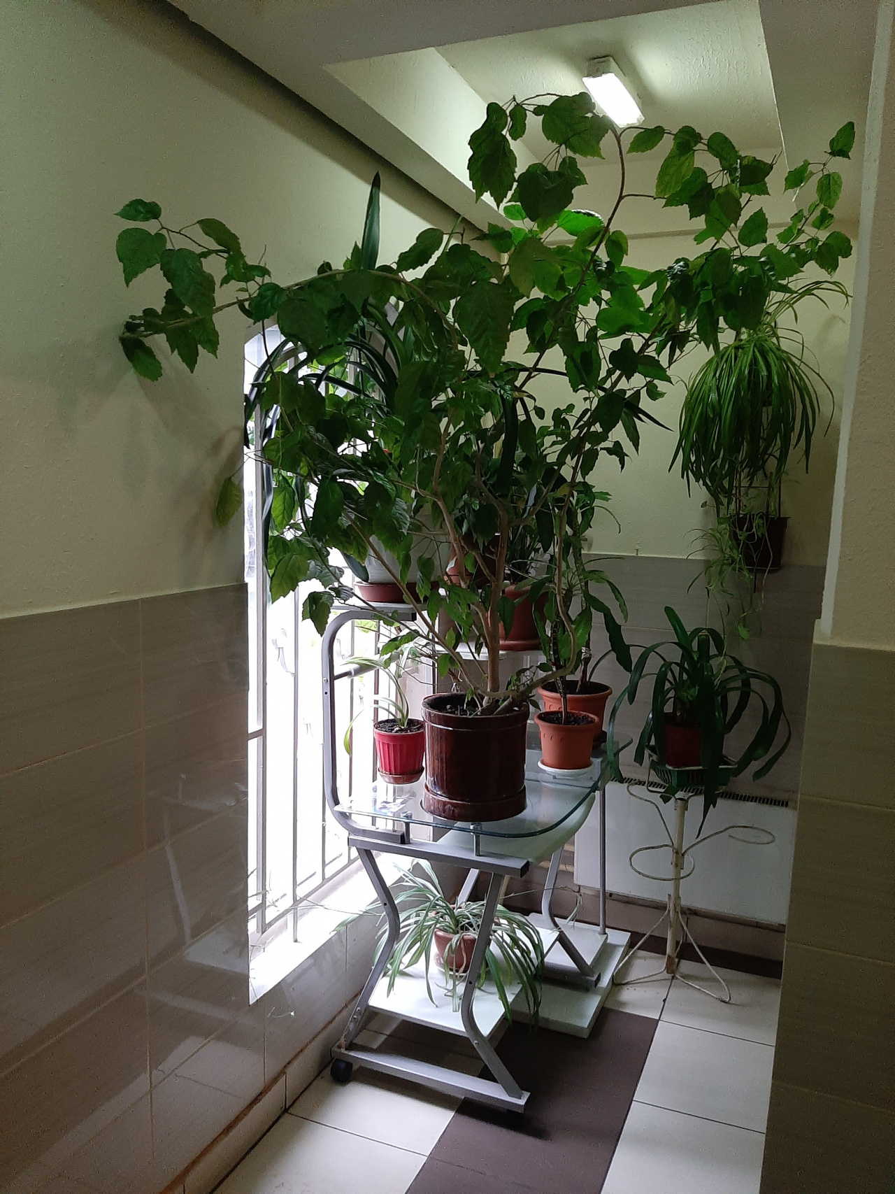 1-комнатная квартира, 38 м² - фото 18