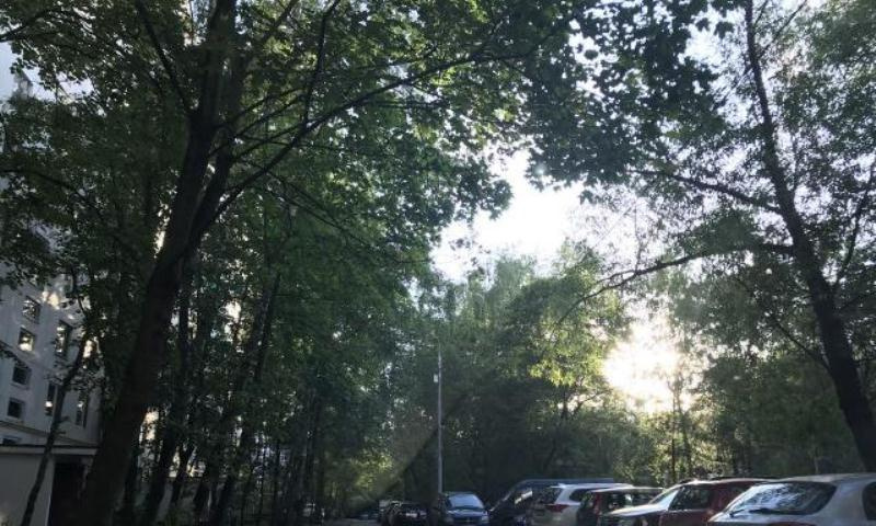 3-комнатная квартира, 63 м² - фото 9
