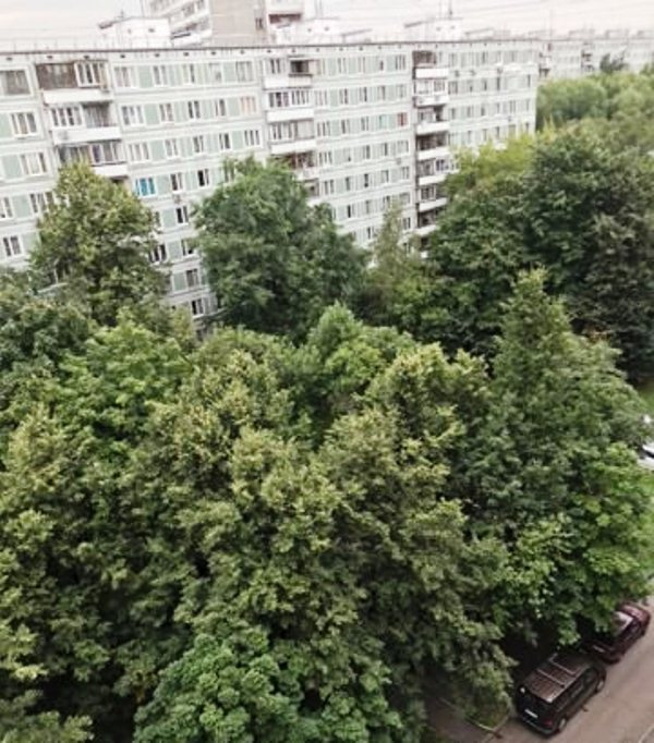 3-комнатная квартира, 60 м² - фото 11