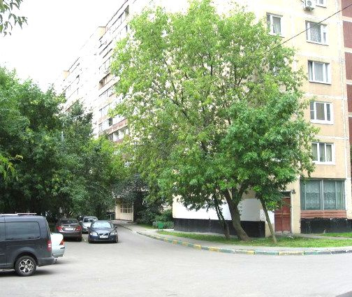 3-комнатная квартира, 79 м² - фото 4