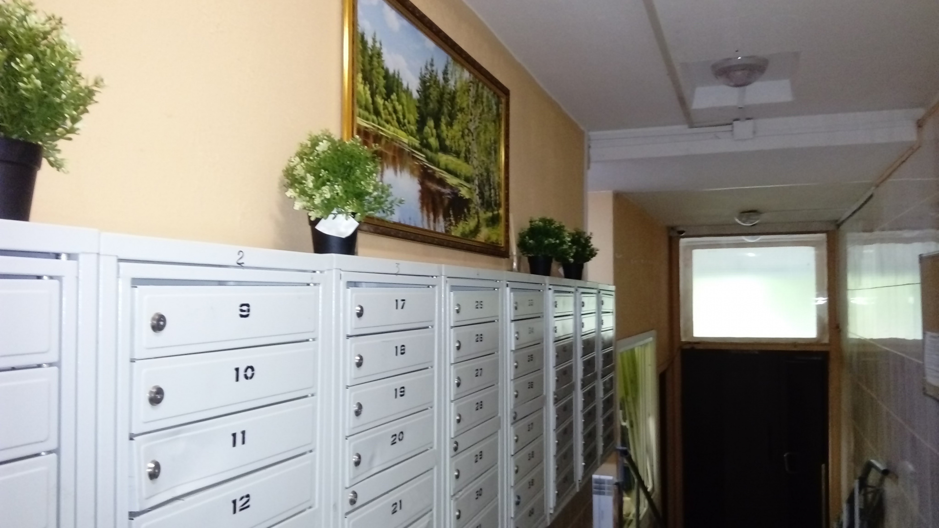 3-комнатная квартира, 74.9 м² - фото 5
