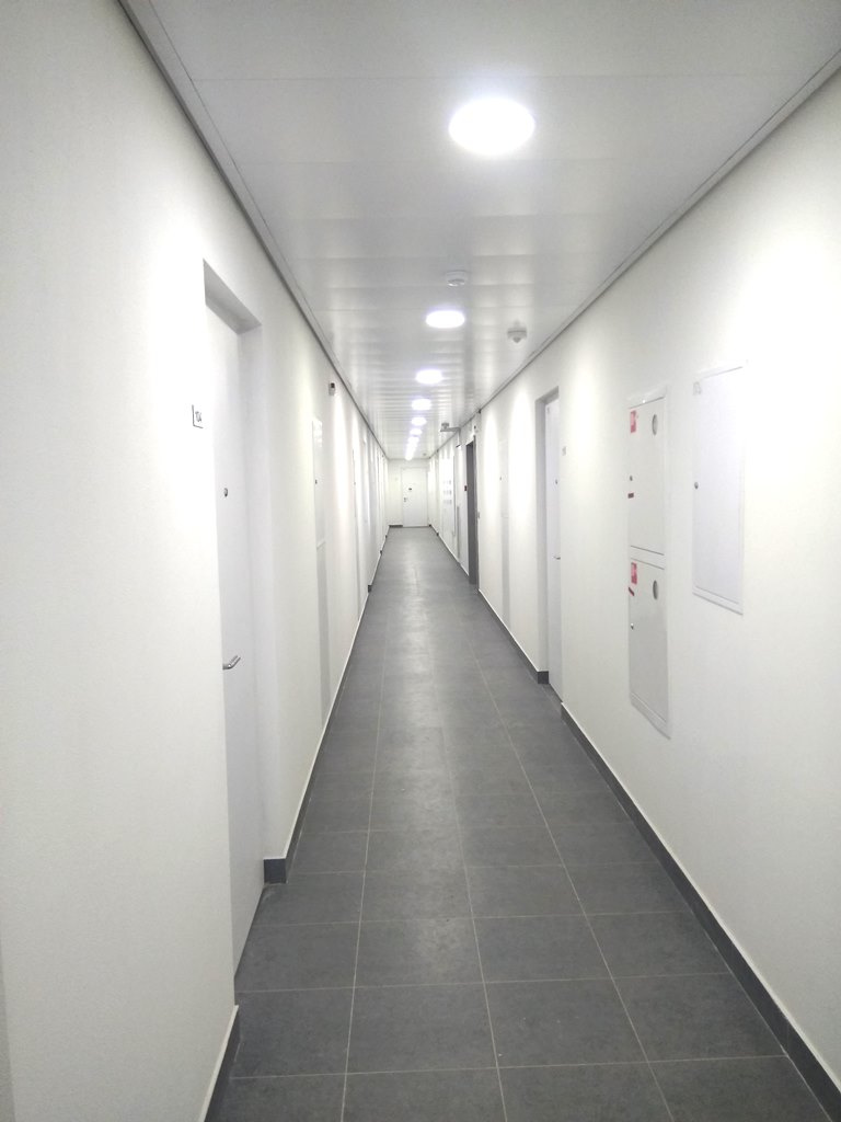 0-комнатная квартира, 25 м² - фото 13