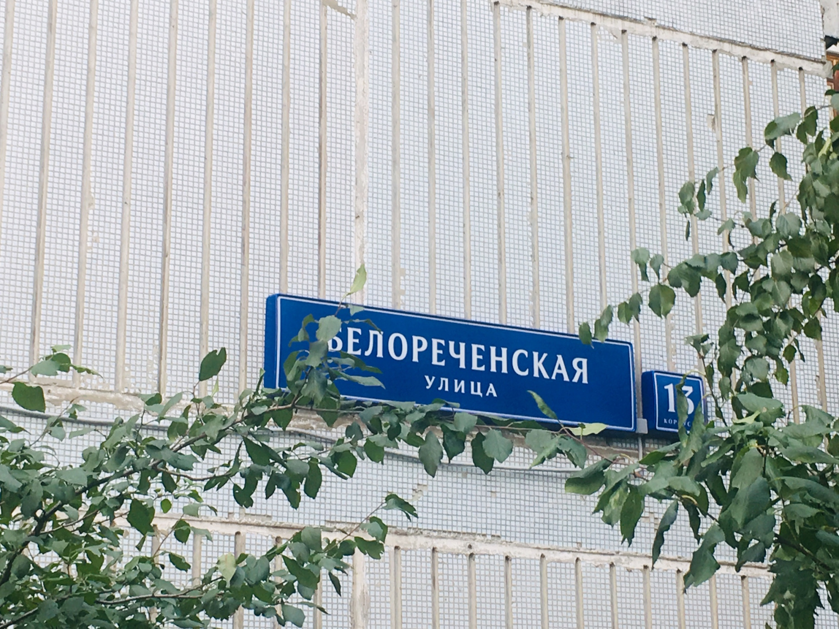 2-комнатная квартира, 50.3 м² - фото 4