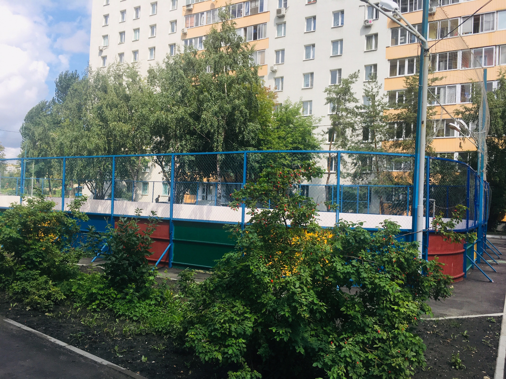 2-комнатная квартира, 50.3 м² - фото 3