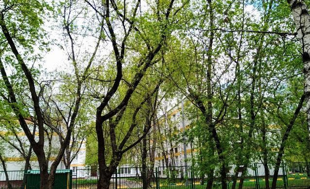 3-комнатная квартира, 59.3 м² - фото 5
