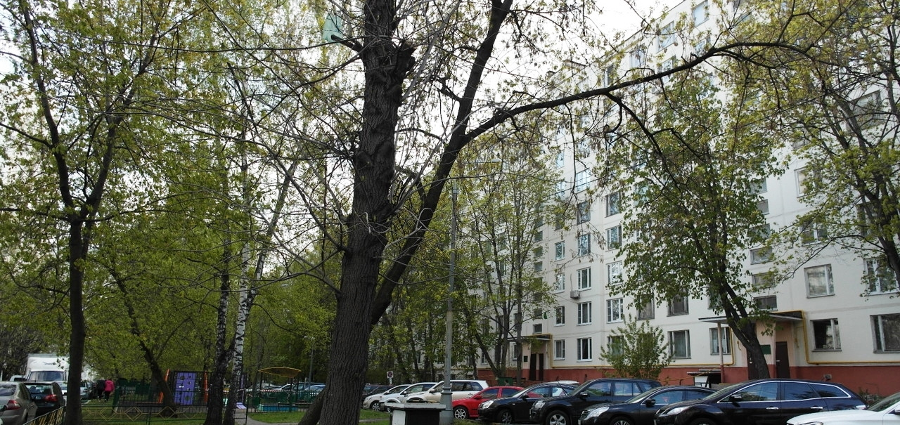 3-комнатная квартира, 65 м² - фото 9