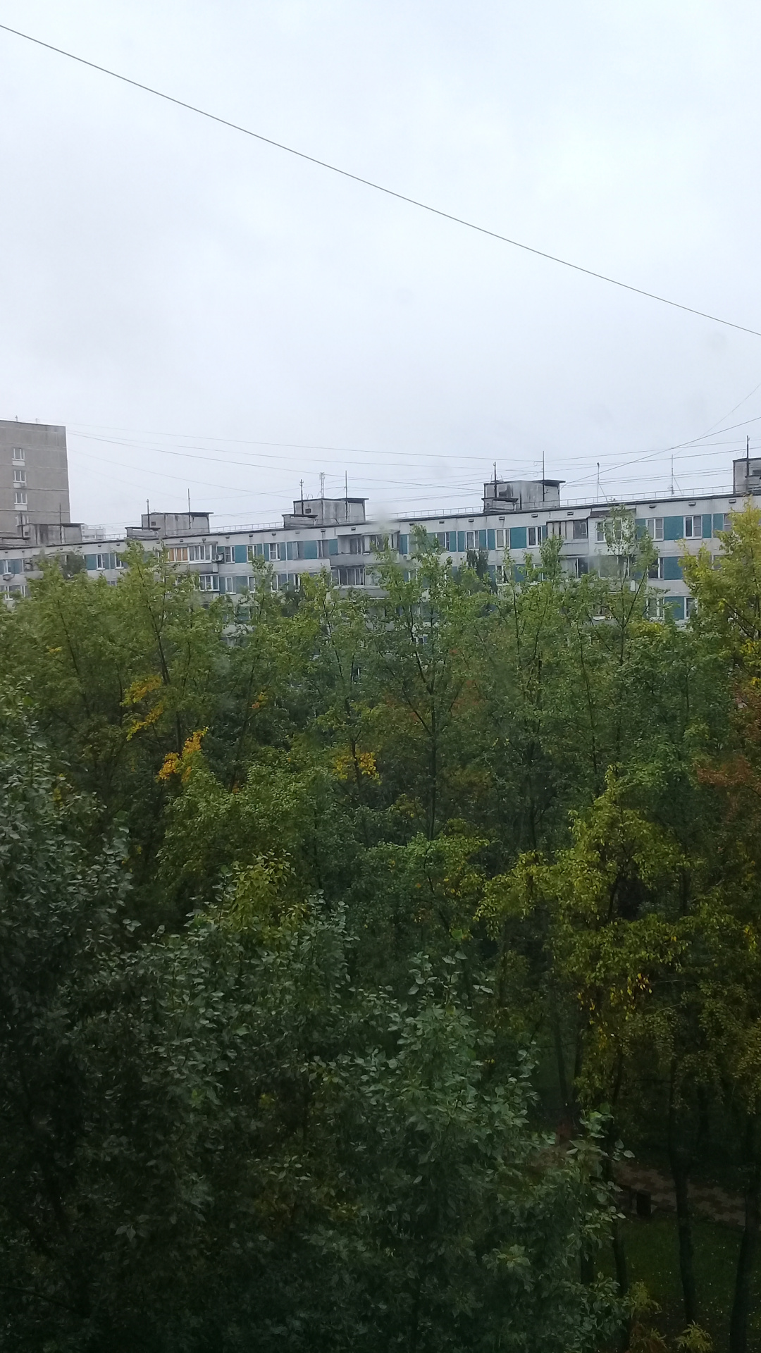 3-комнатная квартира, 73 м² - фото 3
