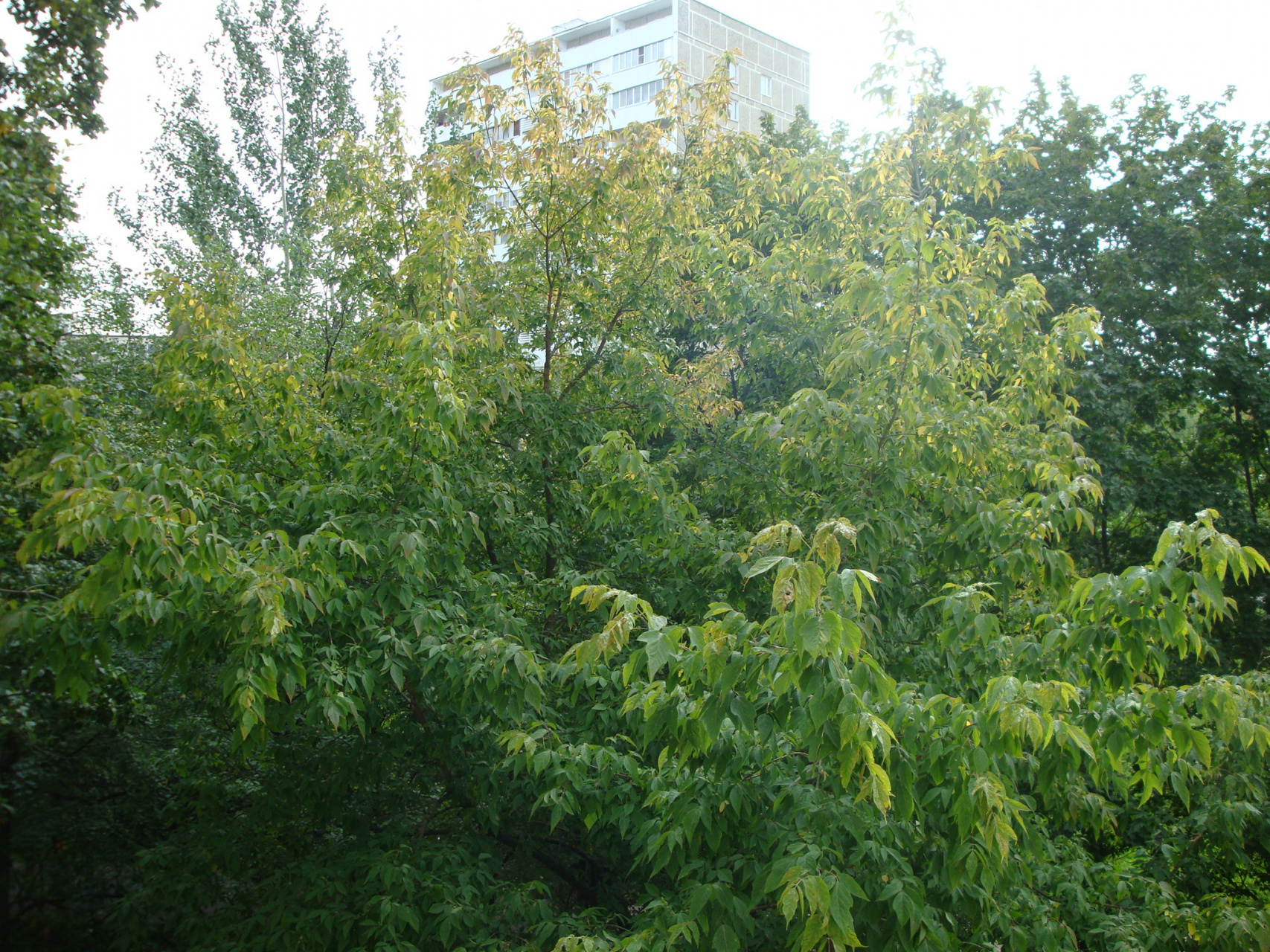 2-комнатная квартира, 44.1 м² - фото 17