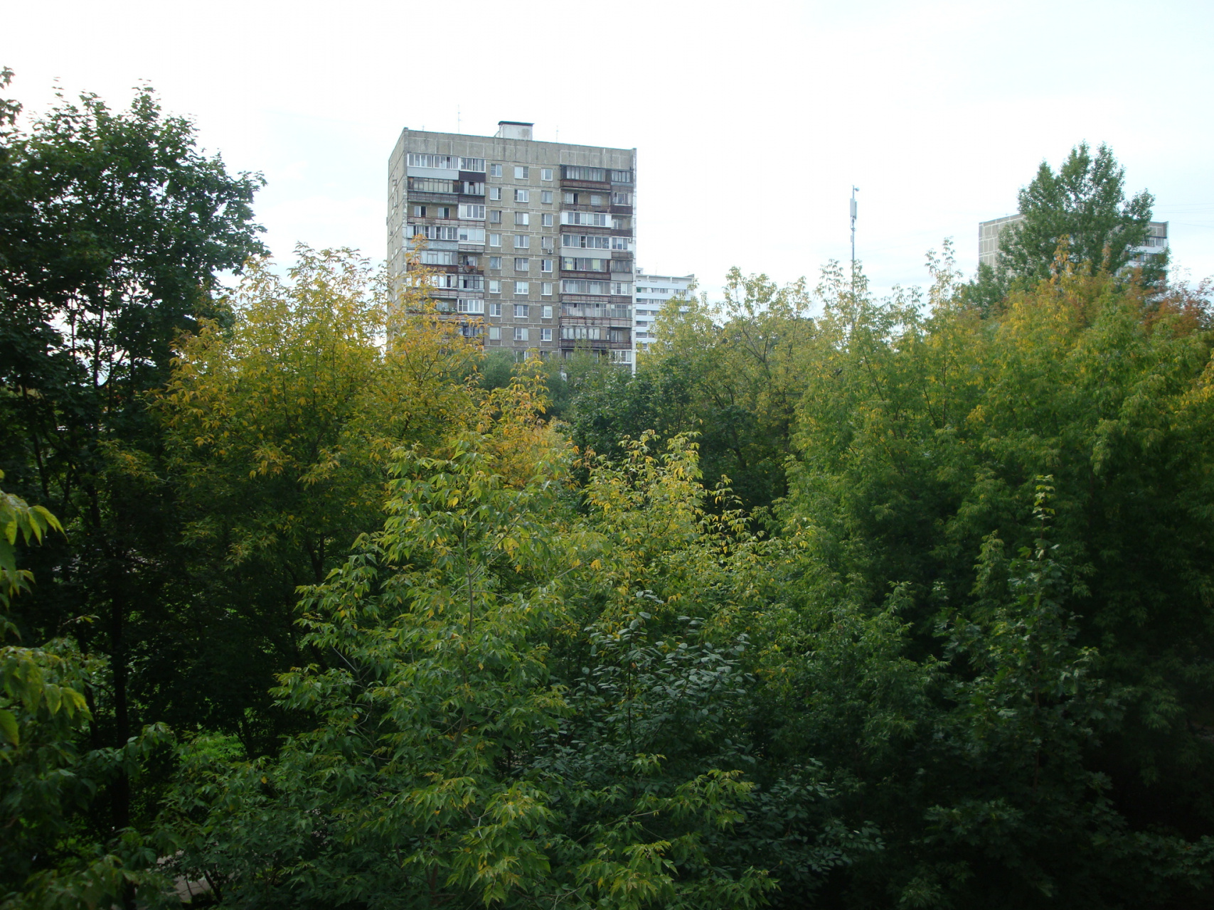 2-комнатная квартира, 44.1 м² - фото 16