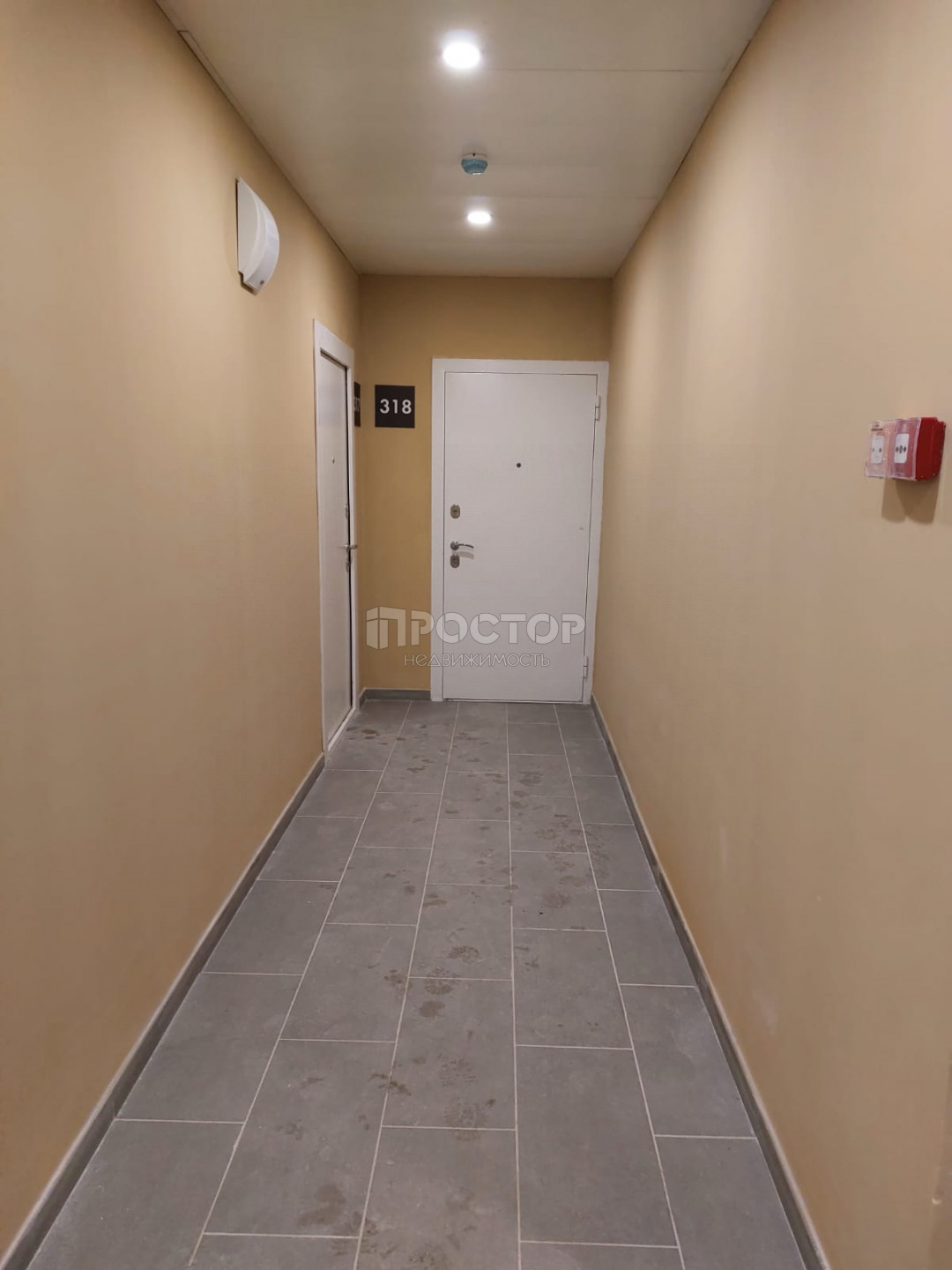 Студия, 23.7 м² - фото 2