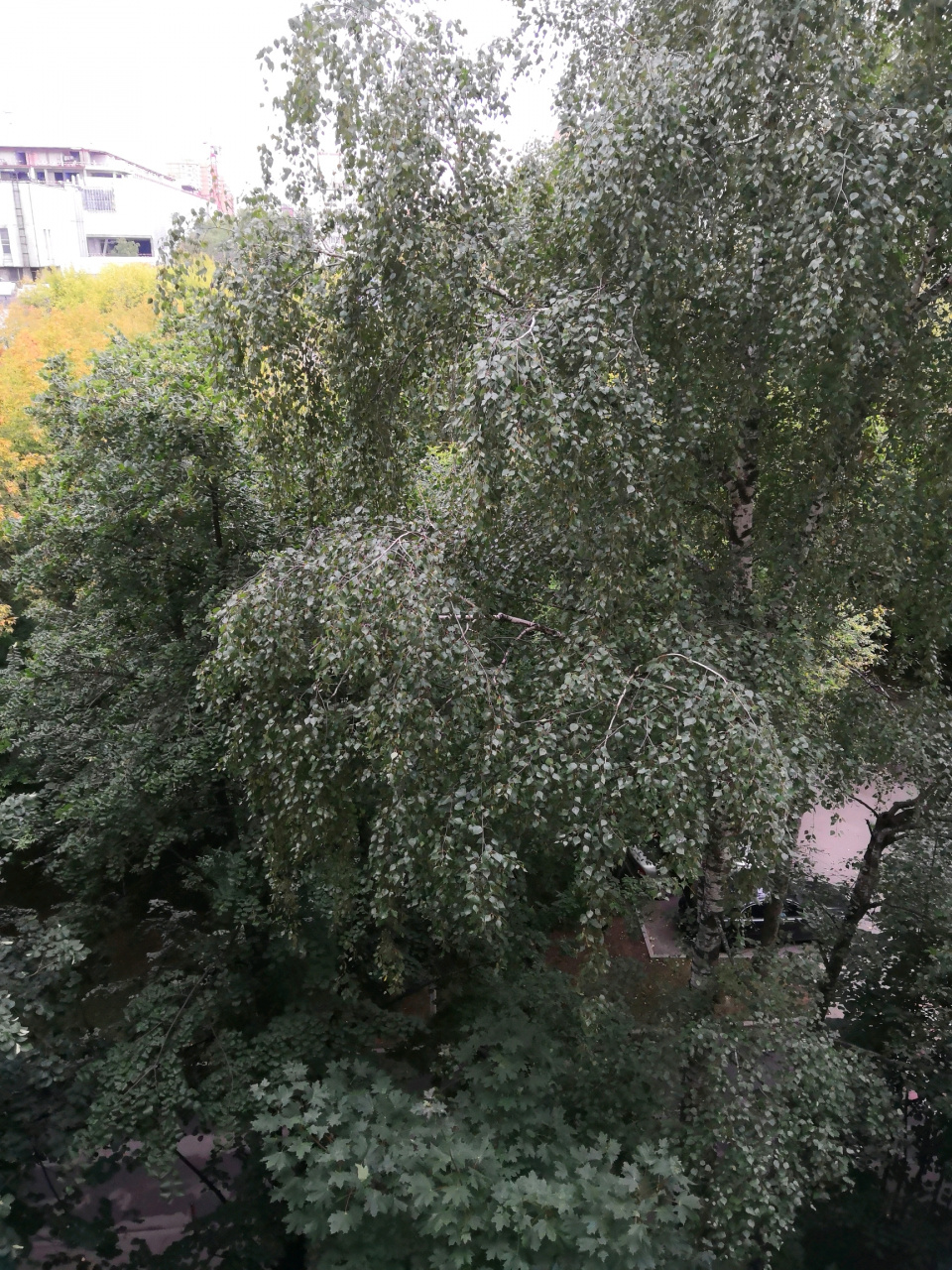 2-комнатная квартира, 43 м² - фото 3
