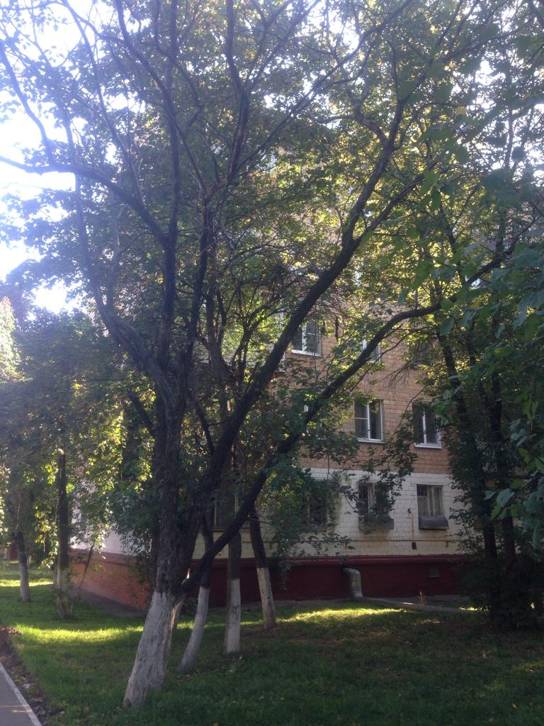 2-комнатная квартира, 41.4 м² - фото 2