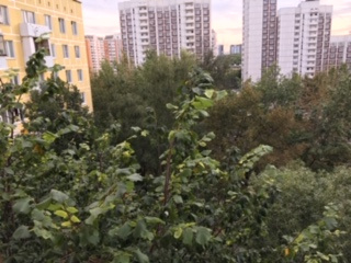 2-комнатная квартира, 37 м² - фото 10