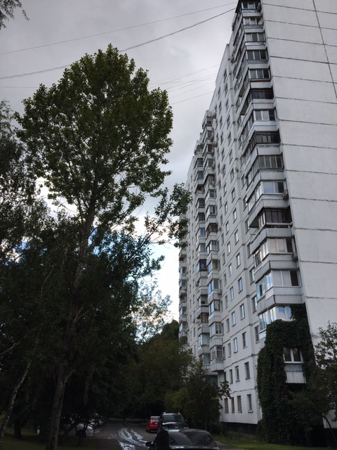 2-комнатная квартира, 54 м² - фото 2