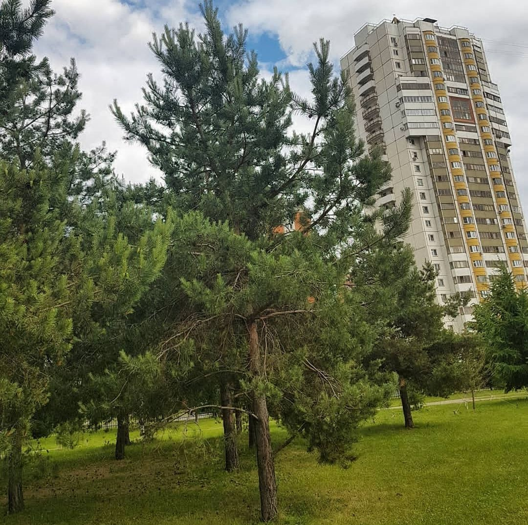 1-комнатная квартира, 43 м² - фото 2