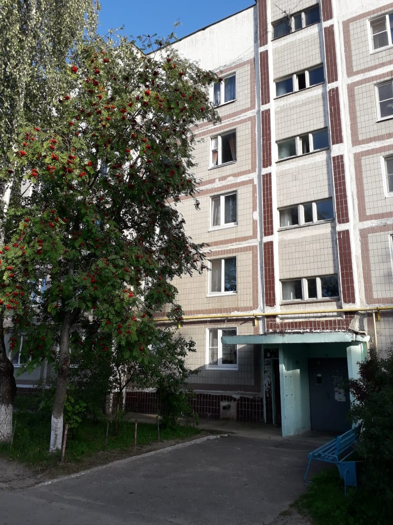 2-комнатная квартира, 51.2 м² - фото 3