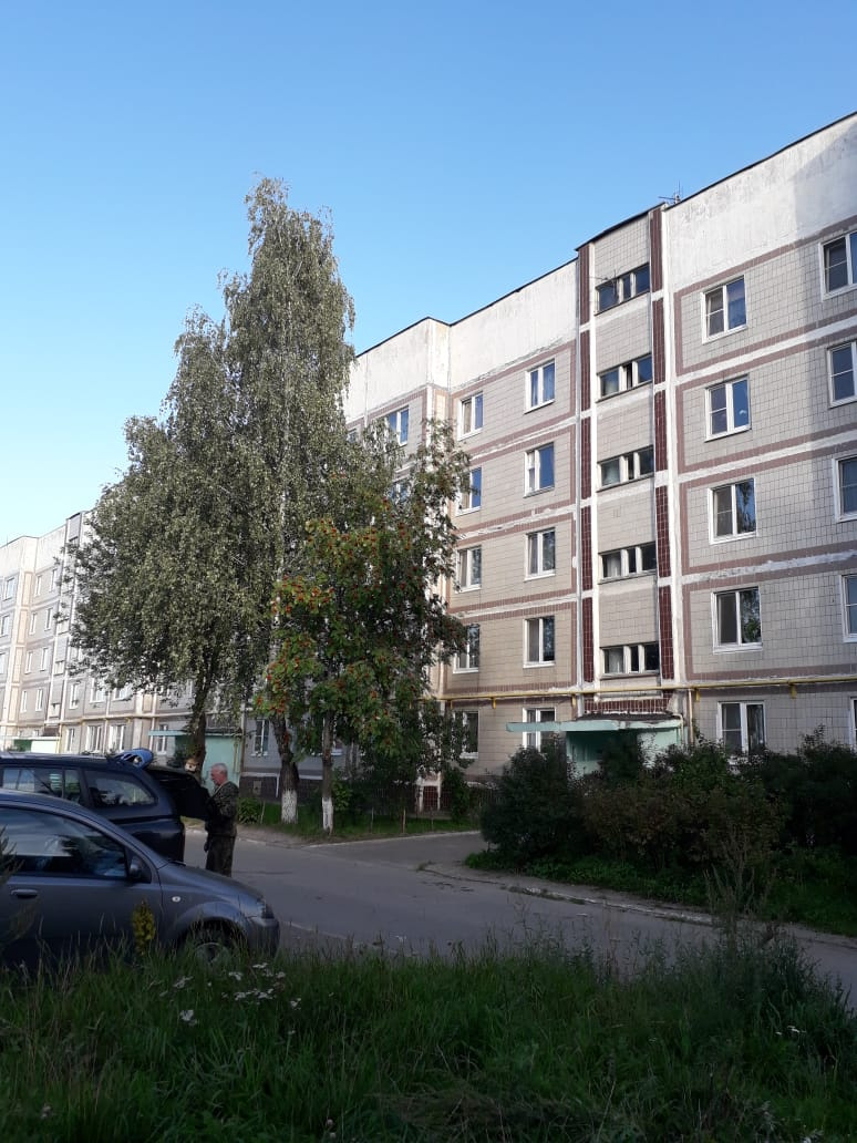 2-комнатная квартира, 51.2 м² - фото 2