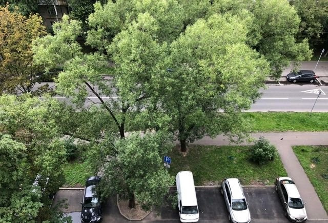 2-комнатная квартира, 44 м² - фото 3