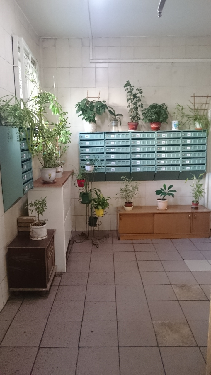 3-комнатная квартира, 78 м² - фото 16