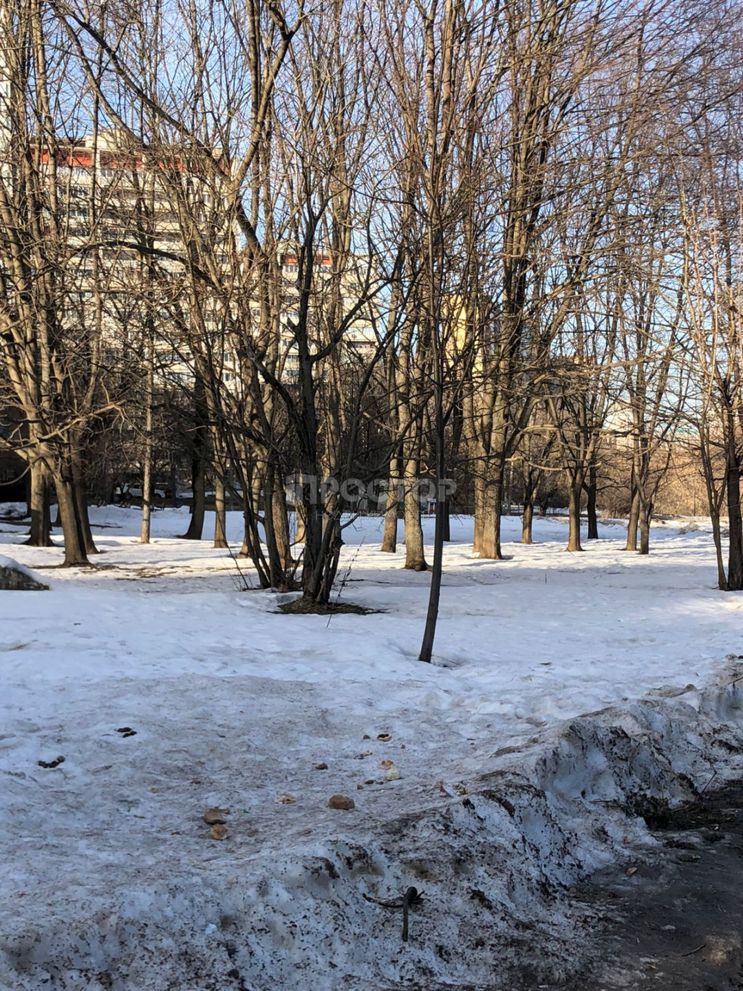 3-комнатная квартира, 63.9 м² - фото 13