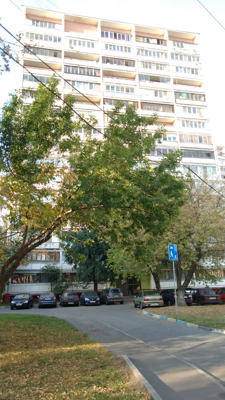 1-комнатная квартира, 35 м² - фото 16