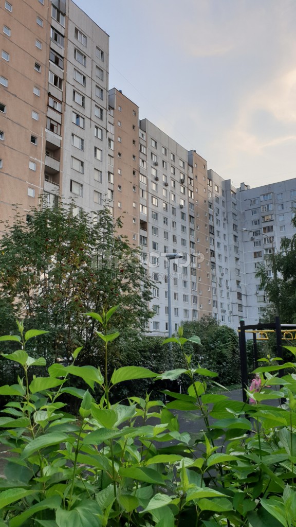 4-комнатная квартира, 74 м² - фото 3