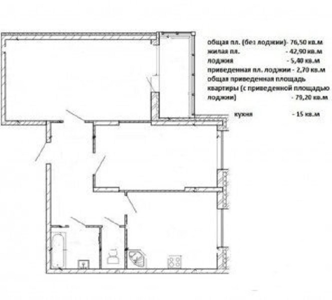 2-комнатная квартира, 76.5 м² - фото 4