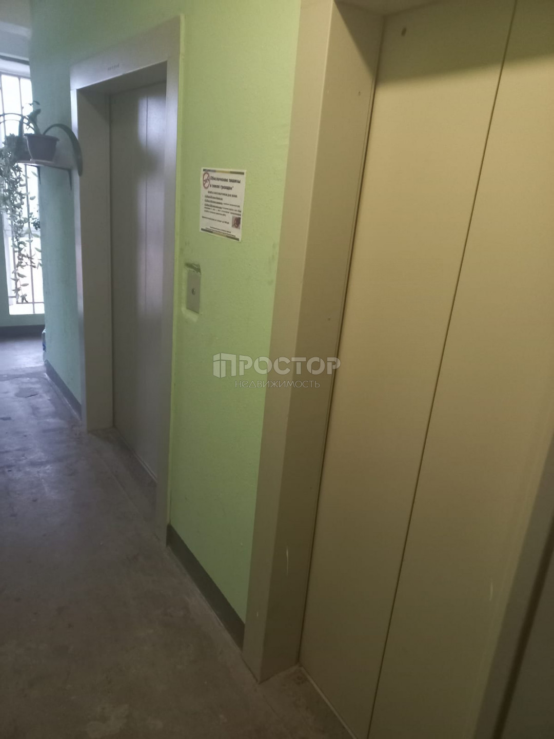 2-комнатная квартира, 51.3 м² - фото 2