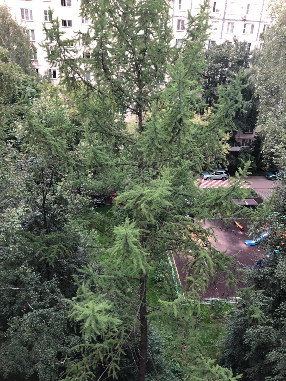 2-комнатная квартира, 45 м² - фото 18