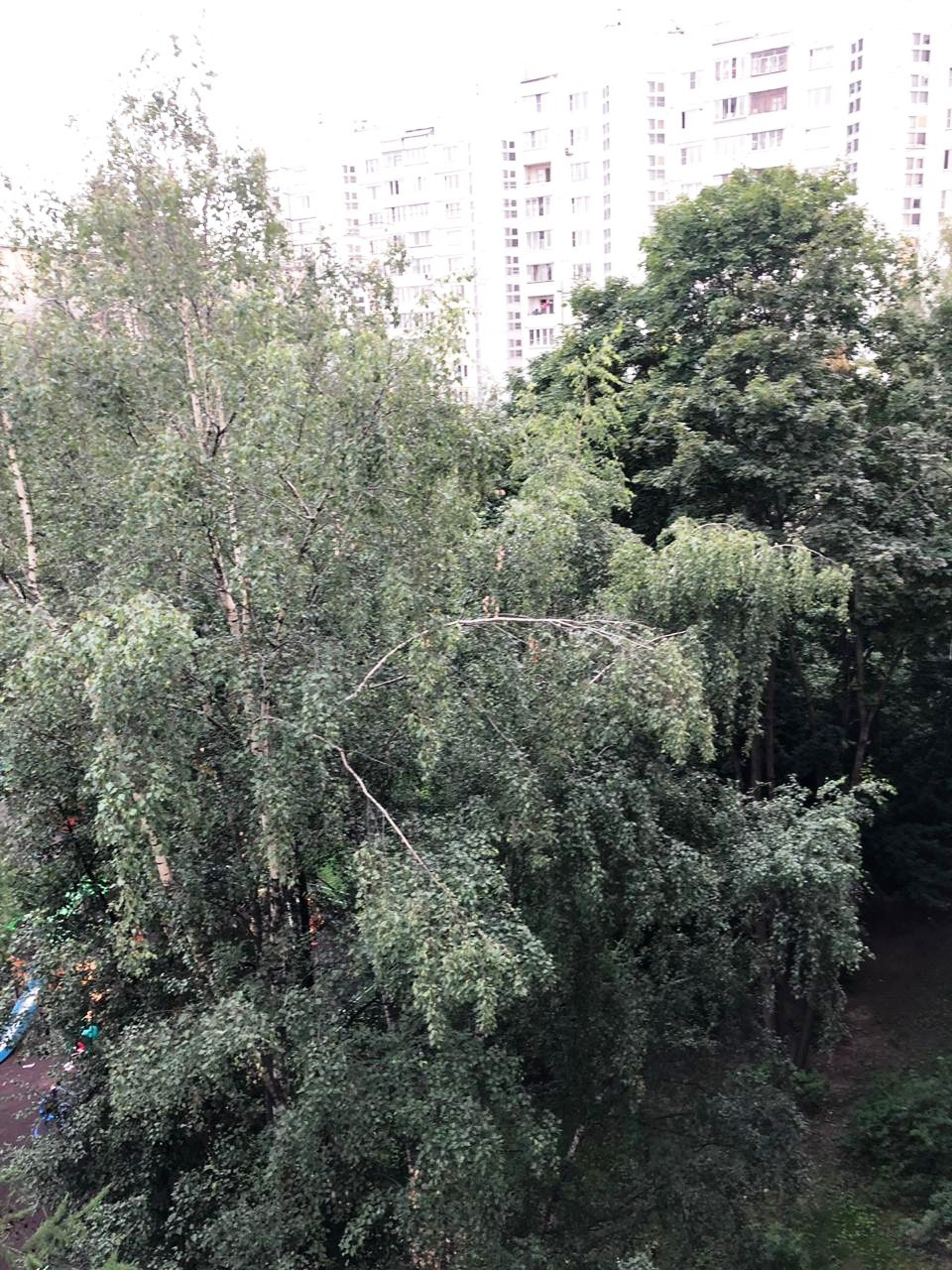 2-комнатная квартира, 45 м² - фото 14