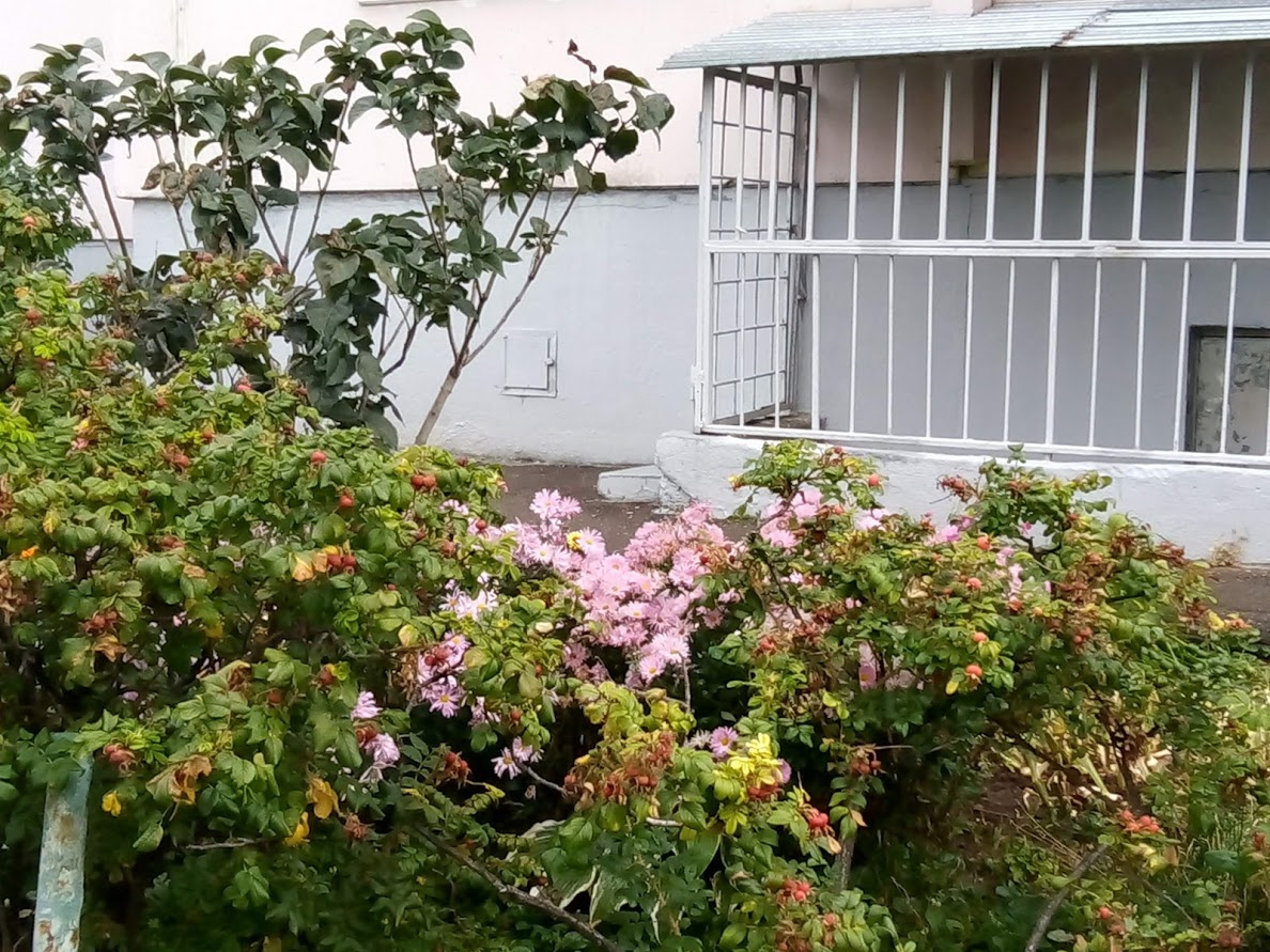 1-комнатная квартира, 41 м² - фото 5