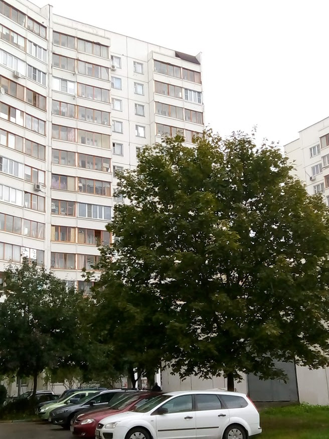 1-комнатная квартира, 41 м² - фото 3