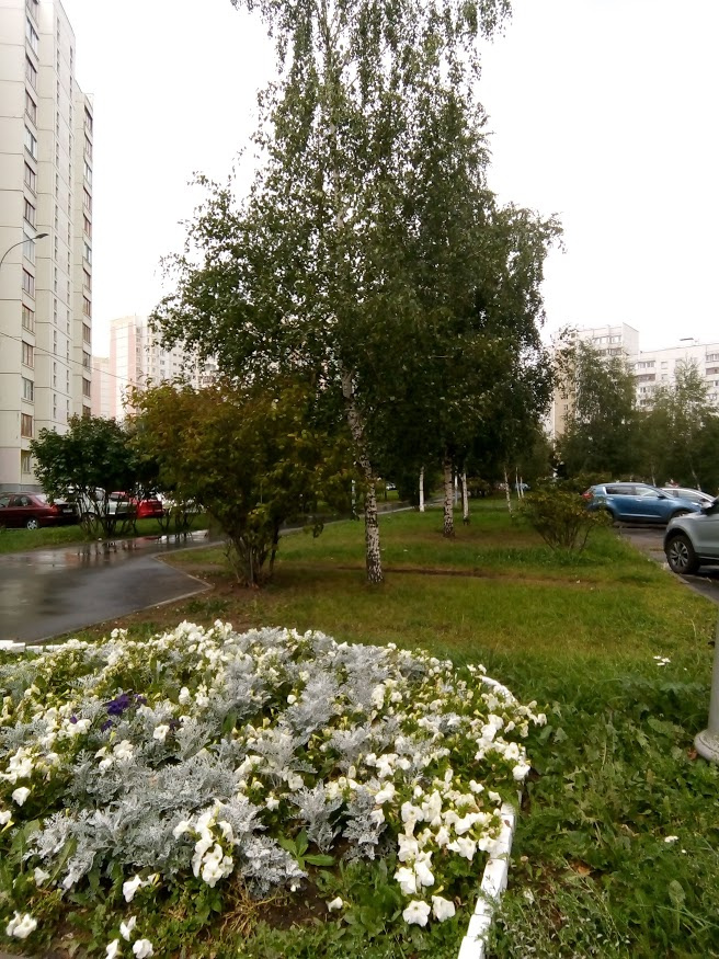 1-комнатная квартира, 41 м² - фото 4