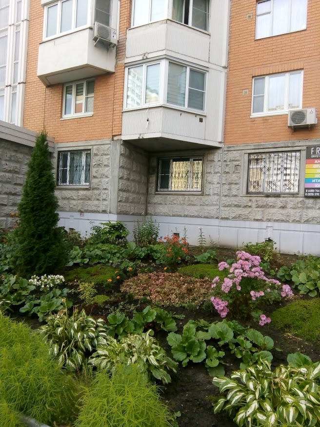 1-комнатная квартира, 40 м² - фото 2