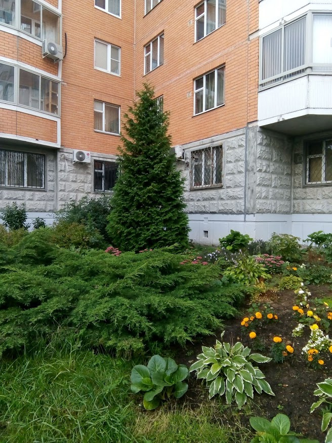 1-комнатная квартира, 40 м² - фото 4
