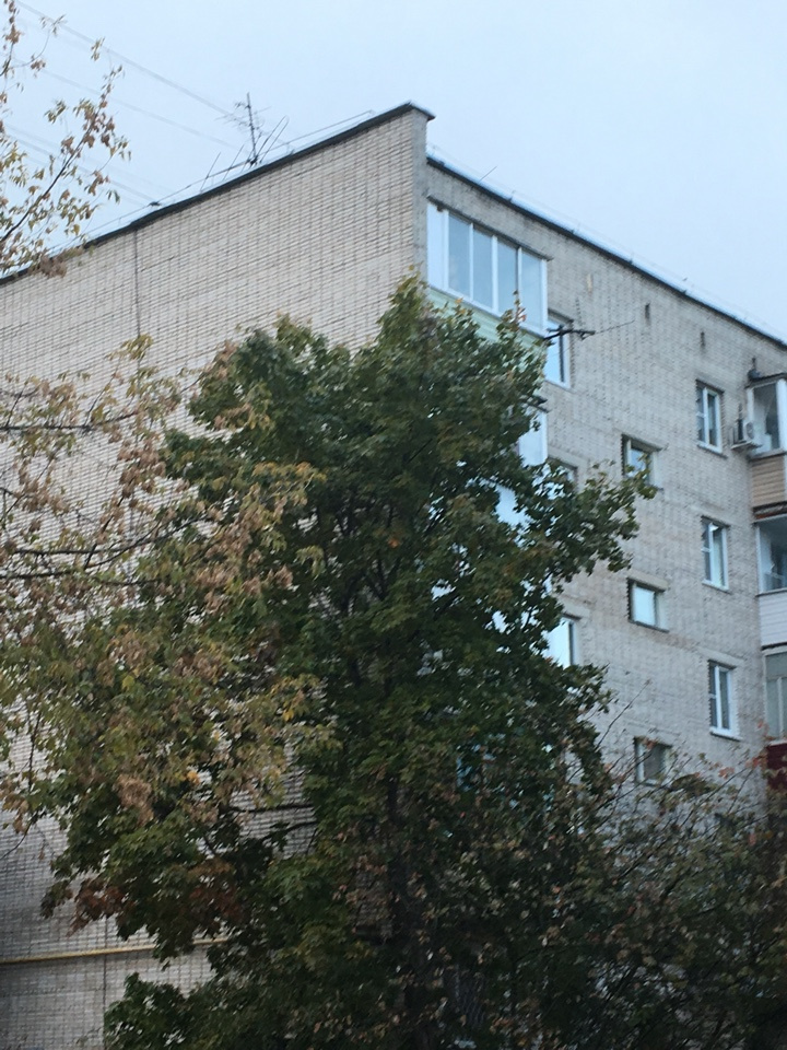 3-комнатная квартира, 51.1 м² - фото 22