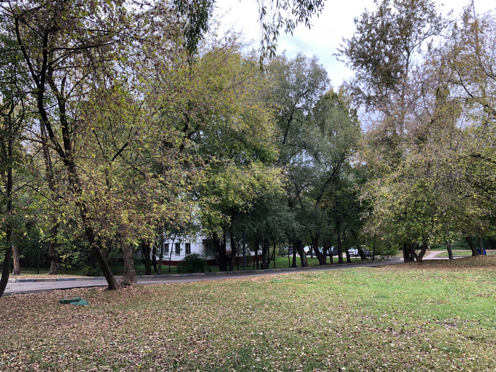 3-комнатная квартира, 63 м² - фото 13