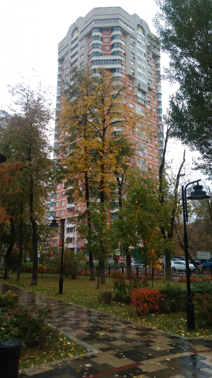 1-комнатная квартира, 40 м² - фото 13