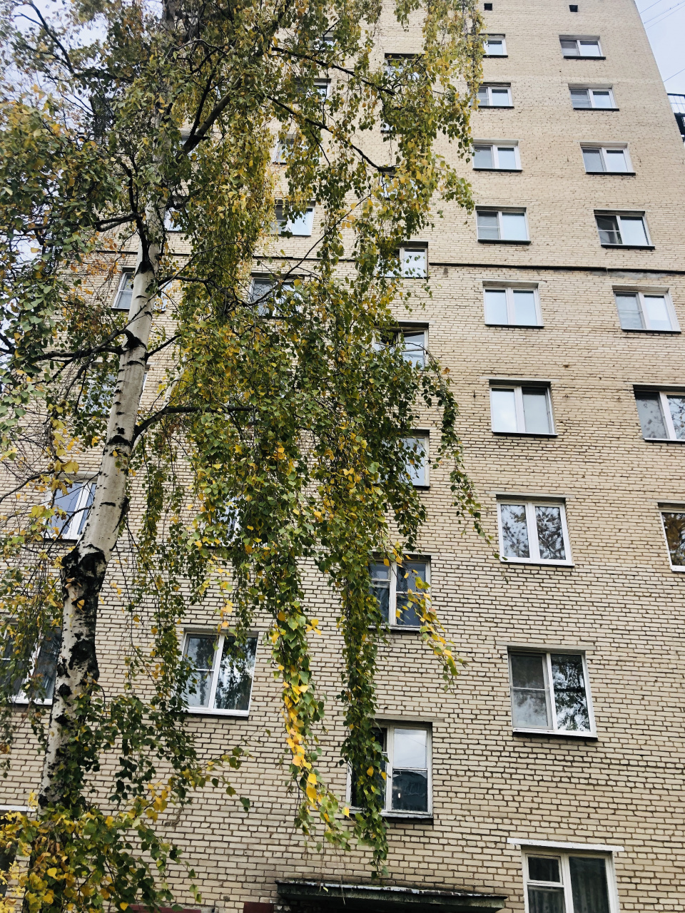1-комнатная квартира, 31.4 м² - фото 9