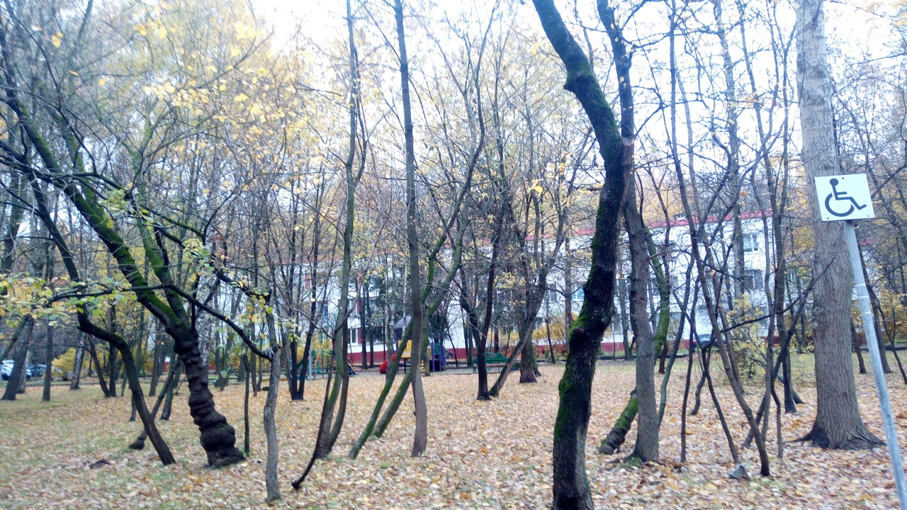 3-комнатная квартира, 57 м² - фото 13