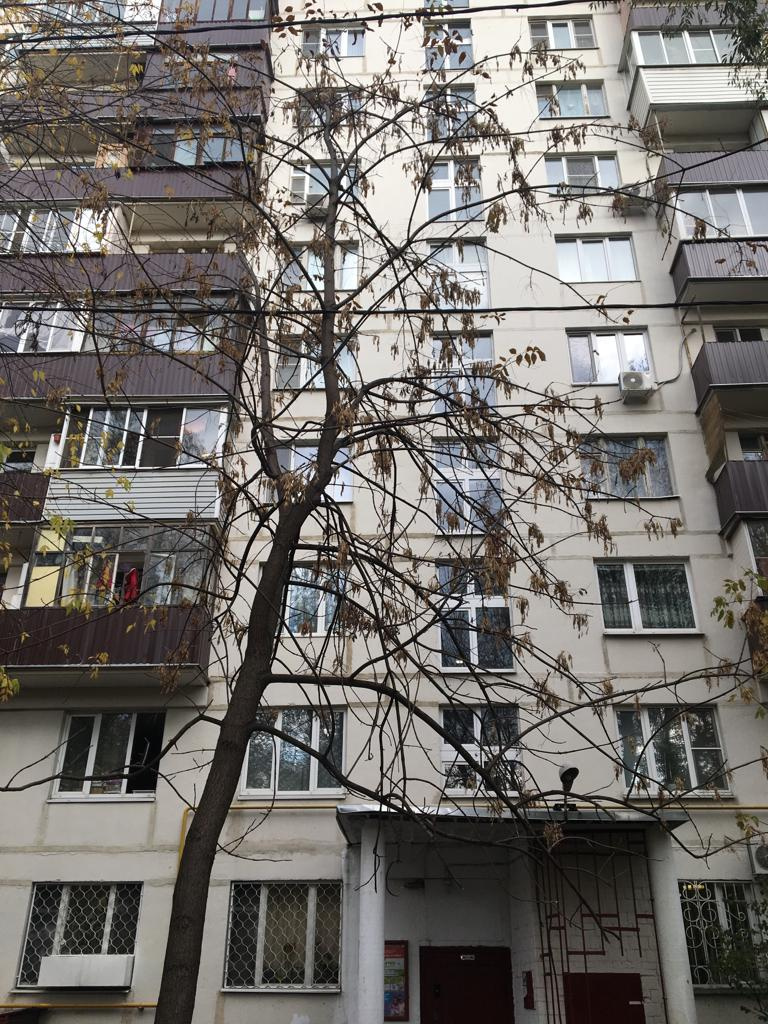 1-комнатная квартира, 35.1 м² - фото 8