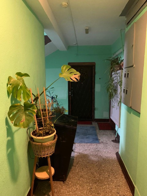 2-комнатная квартира, 52 м² - фото 8