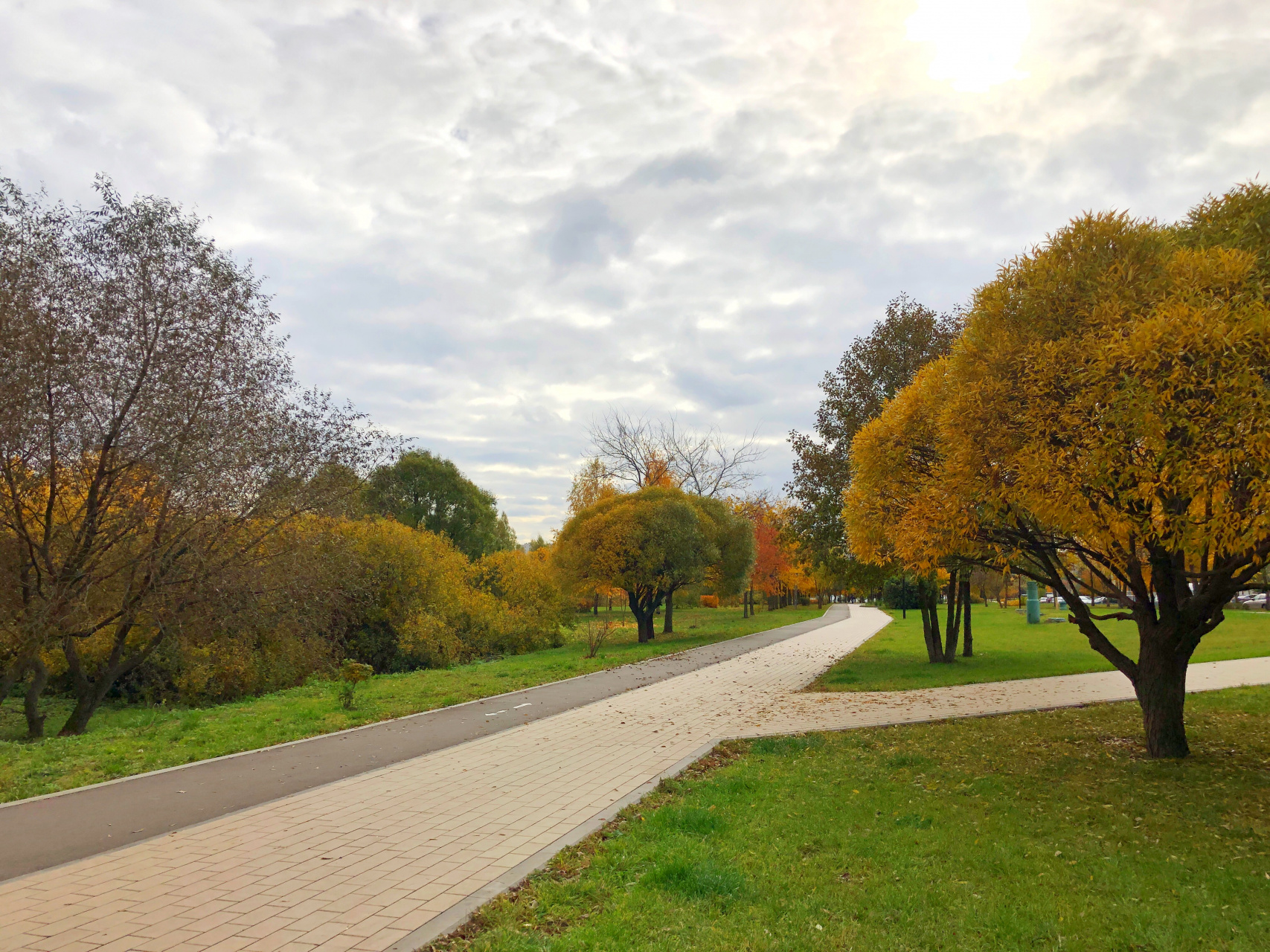 2-комнатная квартира, 54.9 м² - фото 5
