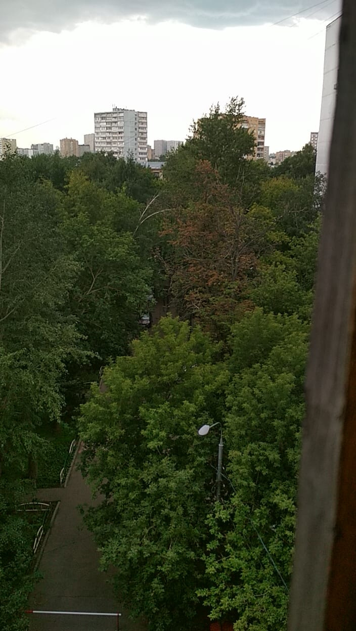 2-комнатная квартира, 45.9 м² - фото 14