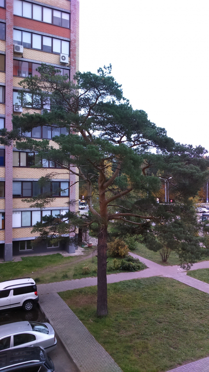 3-комнатная квартира, 80.8 м² - фото 28