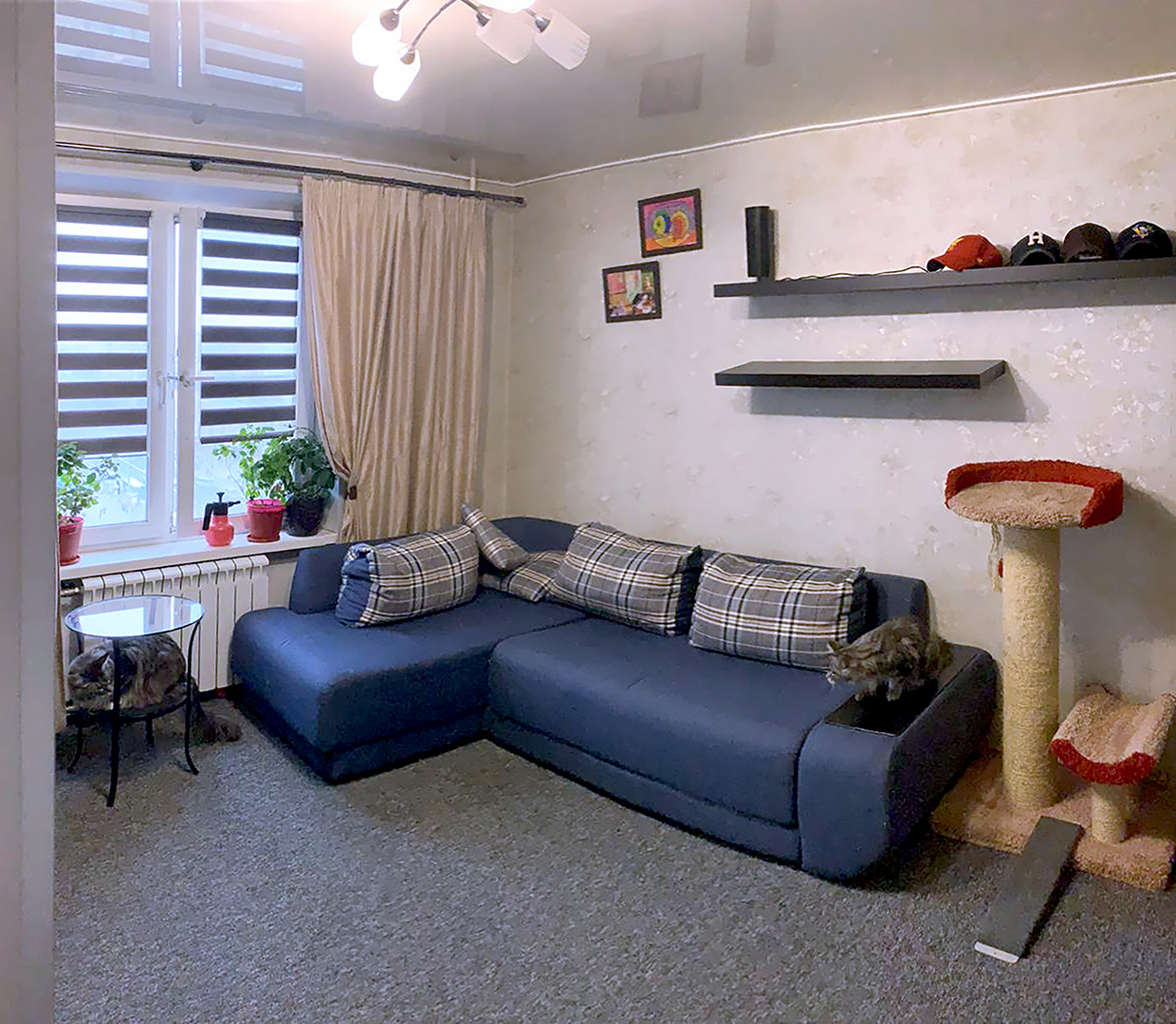 2-комнатная квартира, 37 м² - фото 4