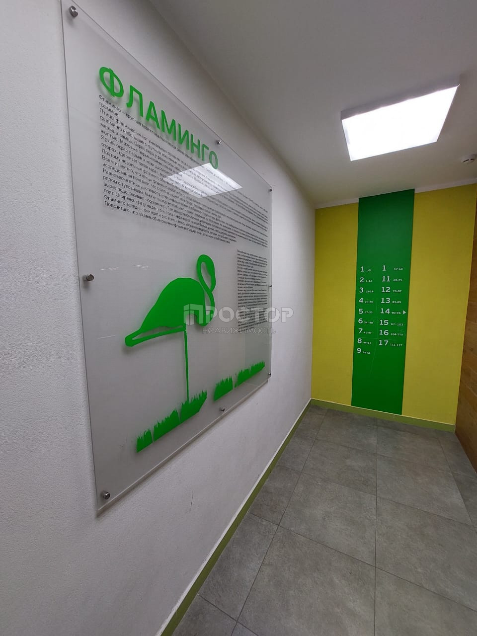 1-комнатная квартира, 36 м² - фото 4