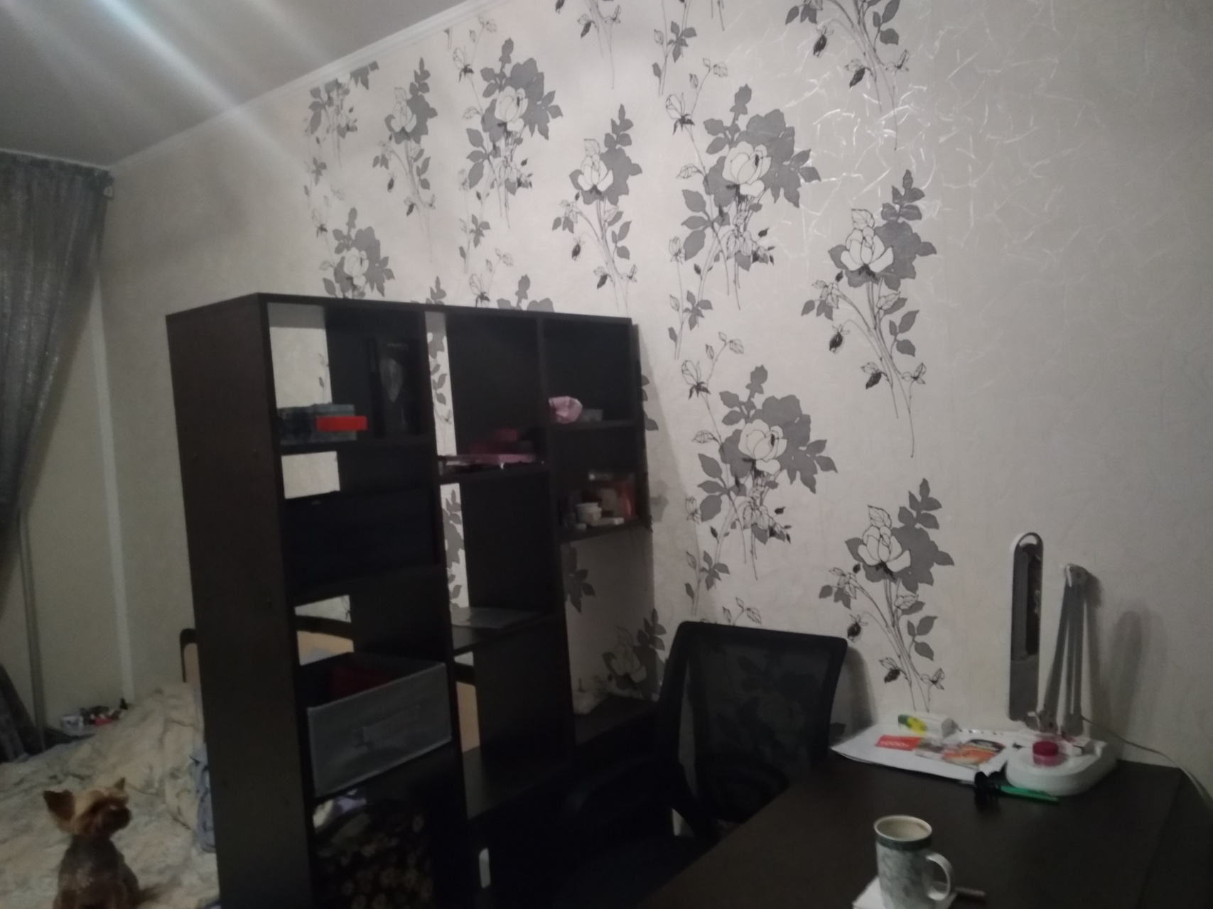 3-комнатная квартира, 76 м² - фото 13