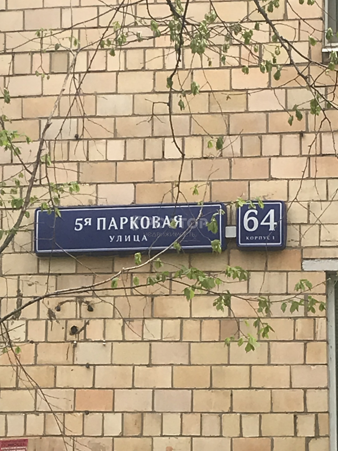 3-комнатная квартира, 67.1 м² - фото 2